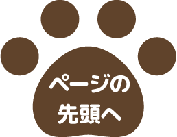 ページの先頭へ