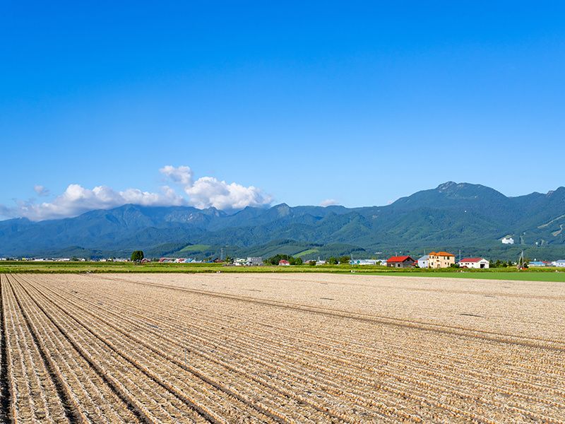 仲介では売りづらい…農地・調整区域・訳あり物件とは？